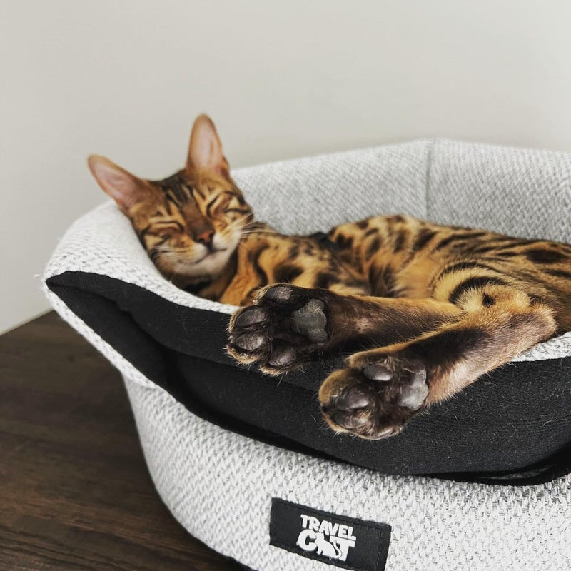 Your Cat Backpack Travel Cat Meowbile Indoor Cat House - 25x18x17 inches Premium Convertible and Durable Hideaway Cat Bed and Cave (Gray, Medium) - Image 5